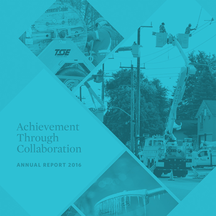 CHEC Annual Reports